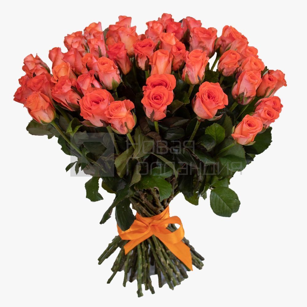 Букет 51 оранжевая роза 40 см