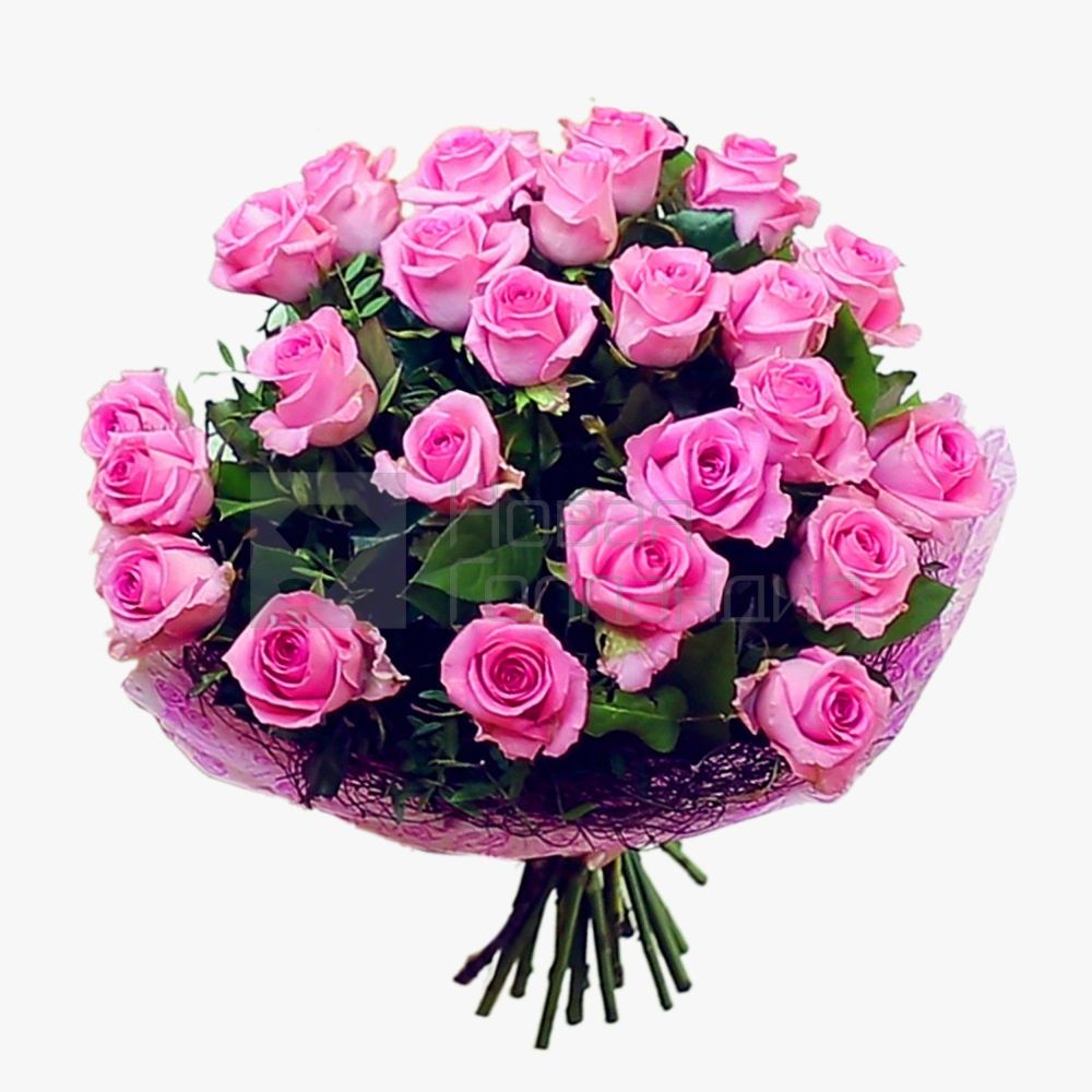 25 розовых роз в упаковке Кения