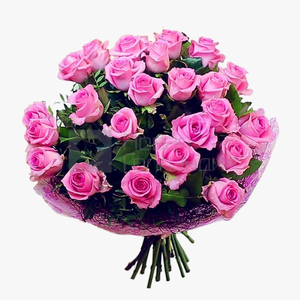 25 розовых роз в упаковке Кения