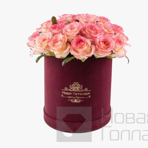 25 розовых роз  в бархатной коробке