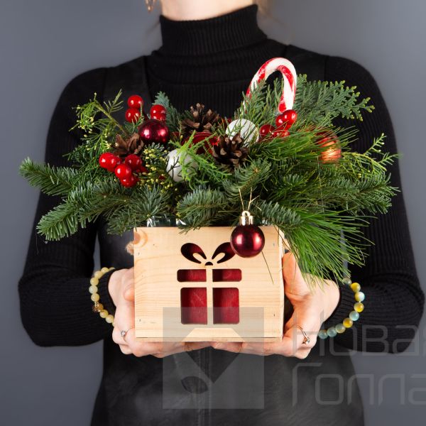 Композиция в кашпо елочка № 3