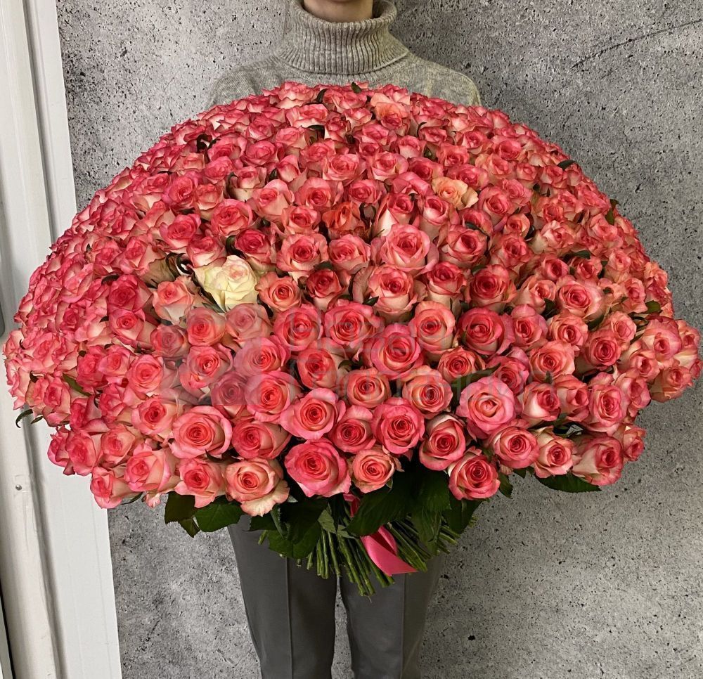 Букет из 301 розовой розы 60 см