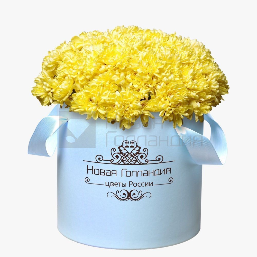 15 Желтых хризантем в большой голубой коробке №260