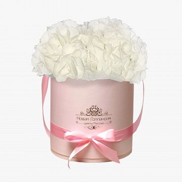 3 Белые Гортензии в розовой шляпной коробке 3 Белые Гортензии в розовой шляпной коробке