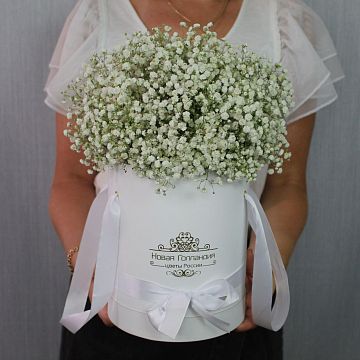 Гипсофила в белой шляпной коробке