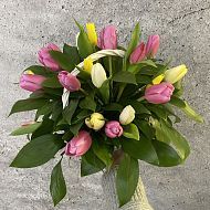 Тюльпан - король весенних цветов