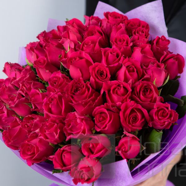 Букет 51 малиновая роза Кения  40 см в упаковке