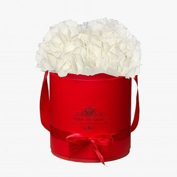 3 Белые Гортензии в красной шляпной коробке 3 Белые Гортензии в красной шляпной коробке