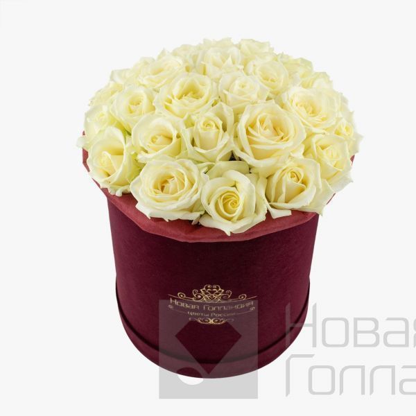 25 белых роз в бархатной коробке LUX