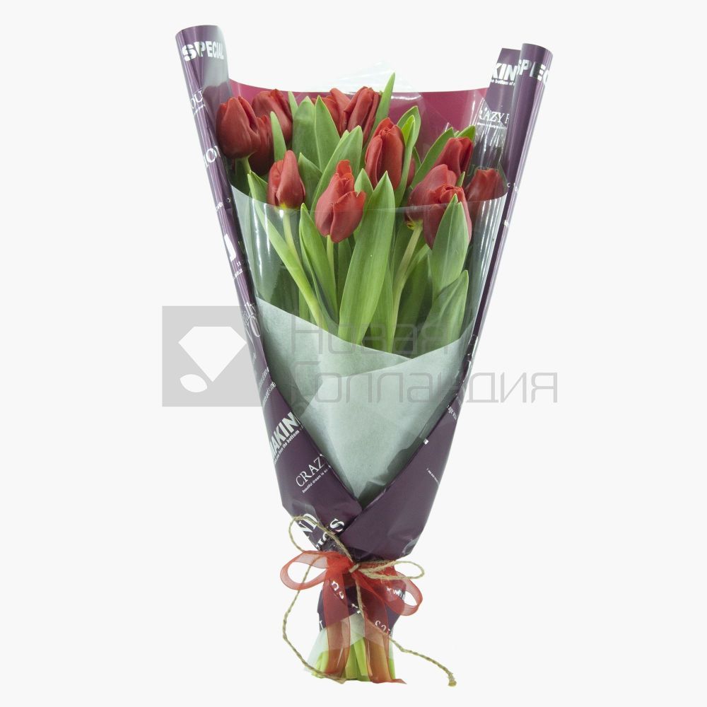 Букет 15 красных тюльпанов-3