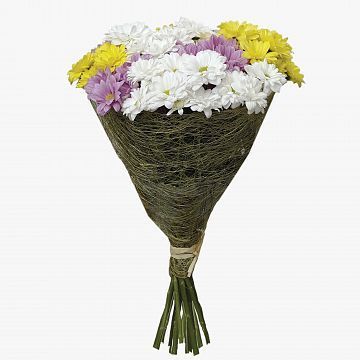 Букет Лучики солнца 9 ромашковых хризантем микс Букет Лучики солнца 9 ромашковых хризантем микс