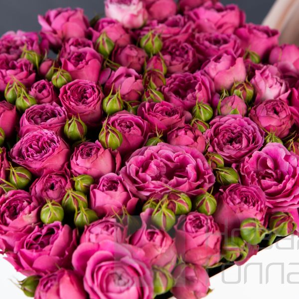 Белая коробка-шкатулка с розовой кустовой пионовидной розой №625