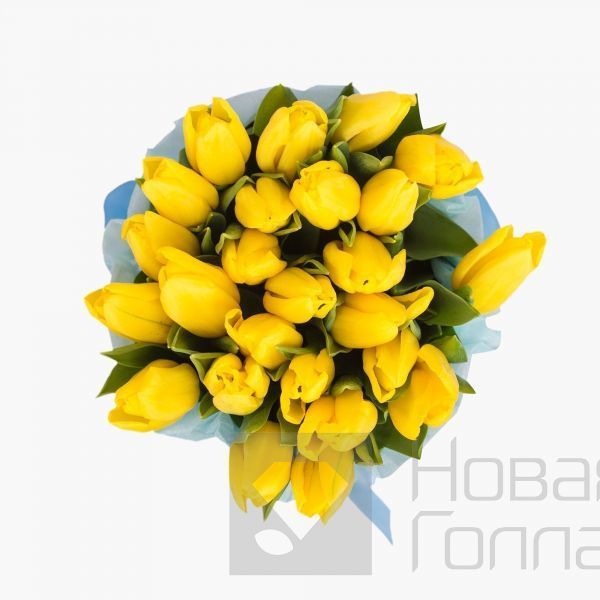25 желтых тюльпанов в голубой маленькой шляпной коробке №526