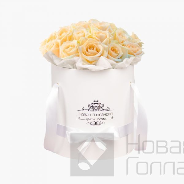 25 кремовых роз в белой шляпной коробке №232