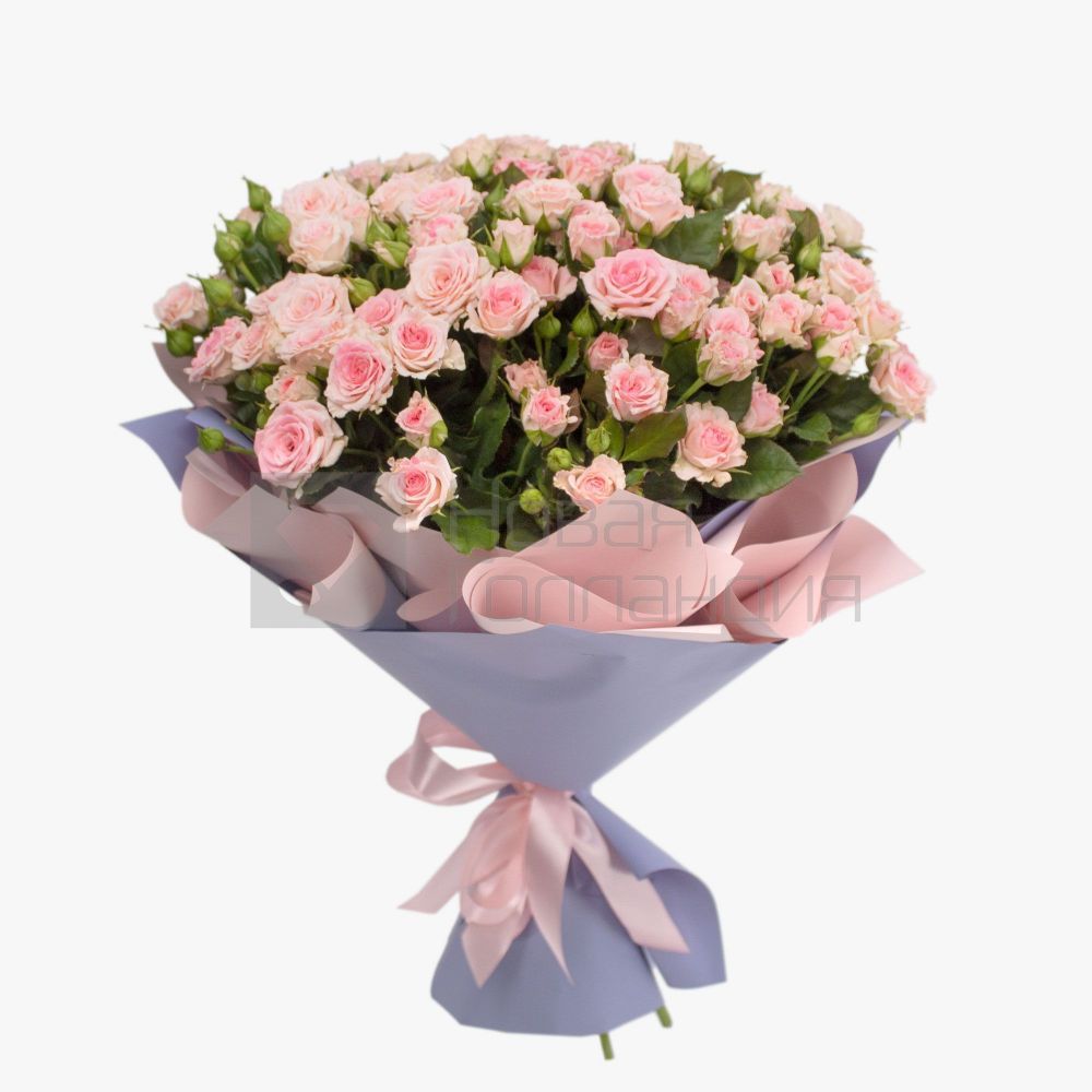 Букет 21 нежно-розовая кустовая роза