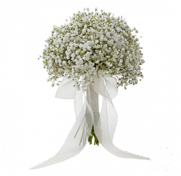 Букет невесты из Гипсофилы Букет невесты из Гипсофилы