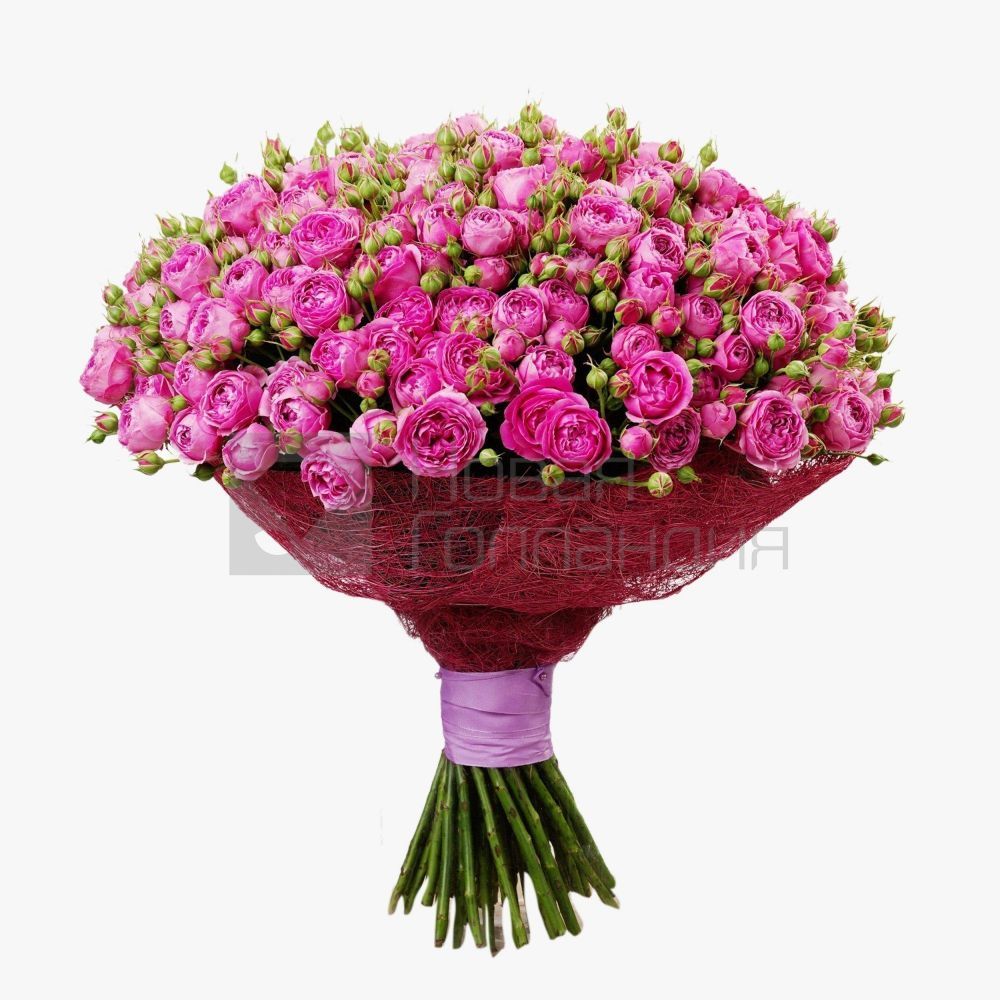 Букет 51 розовая кустовая пионовидная роза 50 см