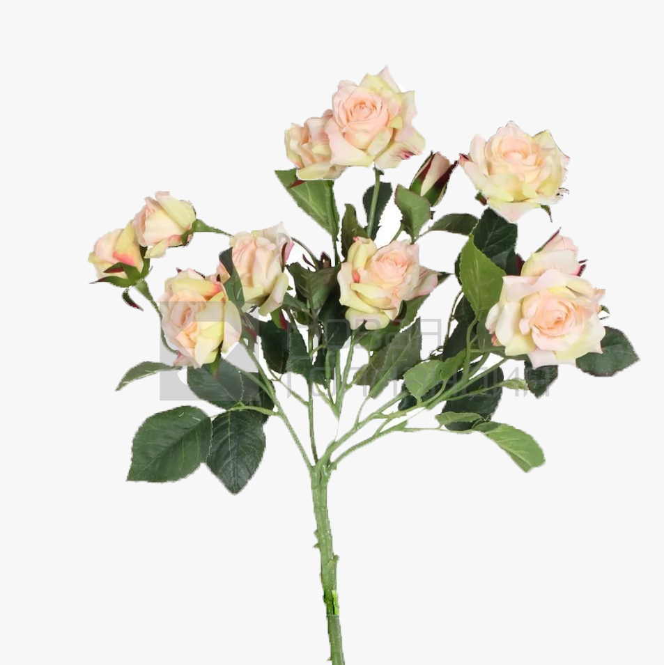 *Кустовая роза поштучно 50 см