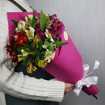 Букет 5 альстромерий микс