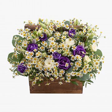 Деревянный ящик Лесная нимфа Деревянный ящик Лесная нимфа