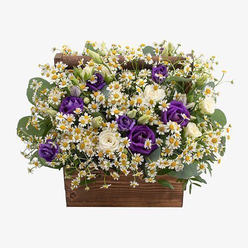 Деревянный ящик Лесная нимфа