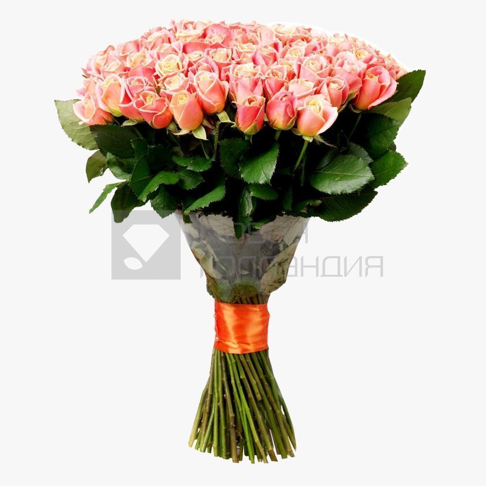 Букет 101 персиково-розовая роза 50 см Россия