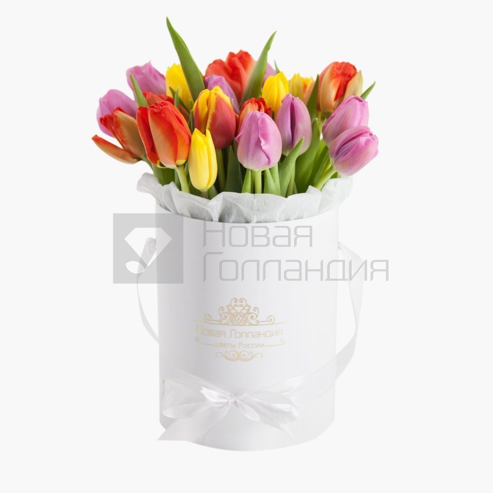 25 тюльпанов микс в белой маленькой шляпной коробке №550
