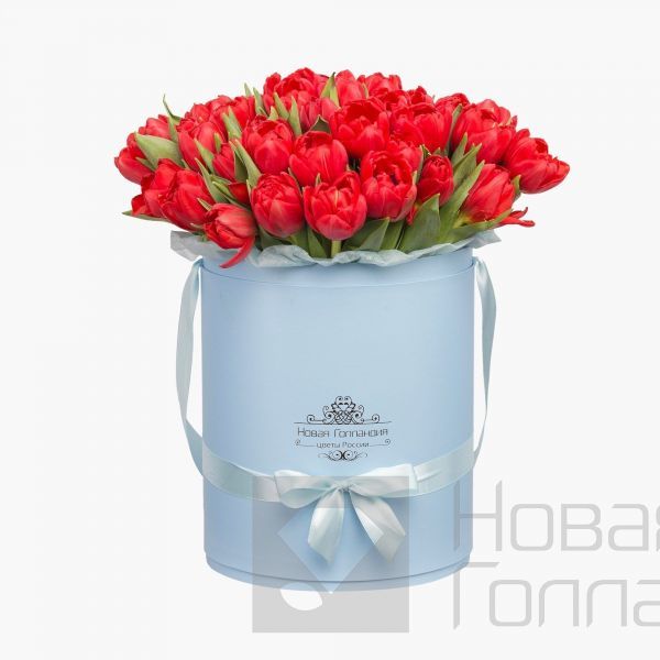 59 красных тюльпанов в большой голубой шляпной коробке №515