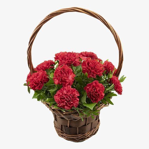 15 гвоздик в корзине