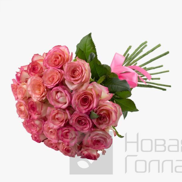 Букет 25 розовых роз 40 см