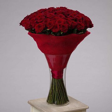 505 красных роз 60 см в 5 вазах