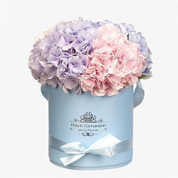 5 Гортензий в голубой шляпной коробке 5 Гортензий в голубой шляпной коробке