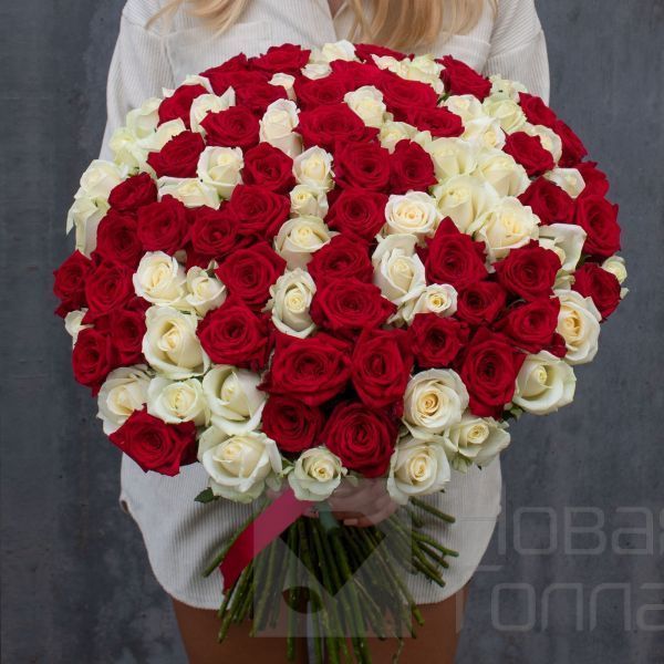 Букет 101 красно-белая роза 60 см