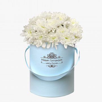 5 Белых хризантем в маленькой голубой коробке №328