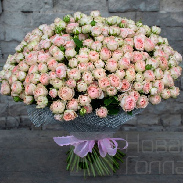 Букет 101 светлая кустовая пионовидная роза