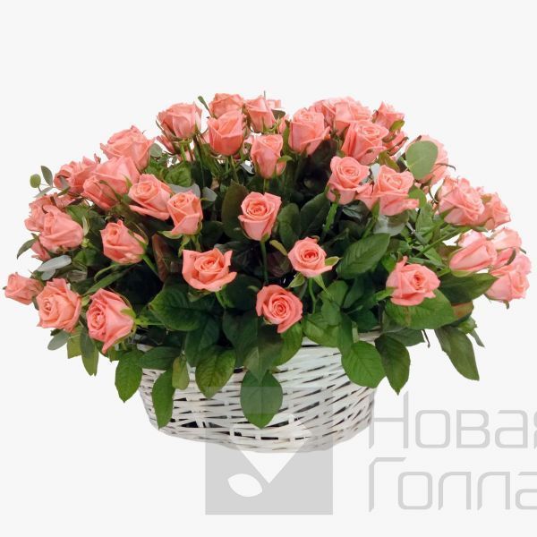 301 коралловая роза в корзине