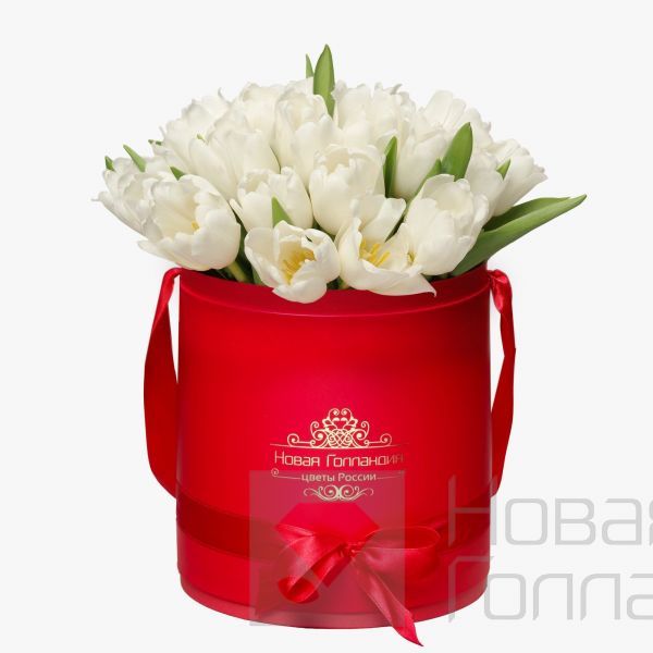 35 белых тюльпанов в красной шляпной коробке №106