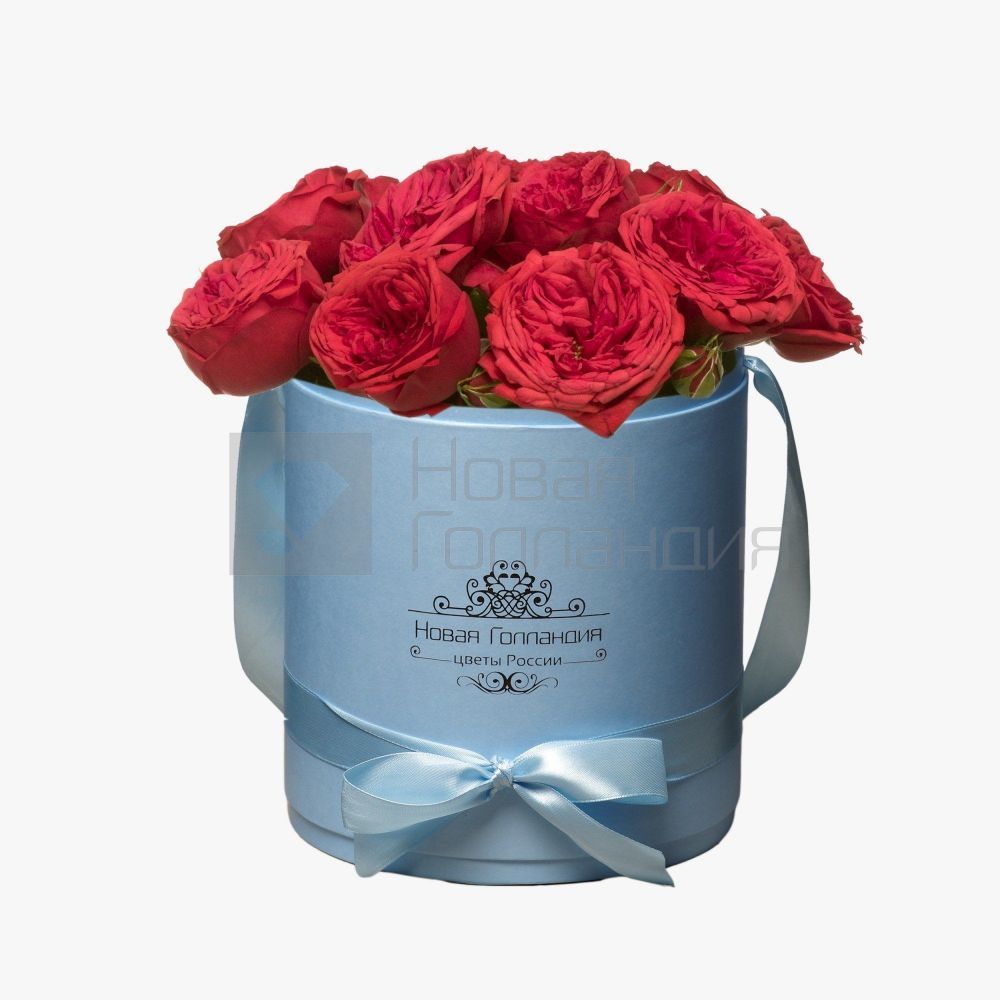 11 красных пионовидных роз Премиум в голубой шляпной коробке №354