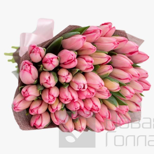 Букет 51 розовый тюльпан