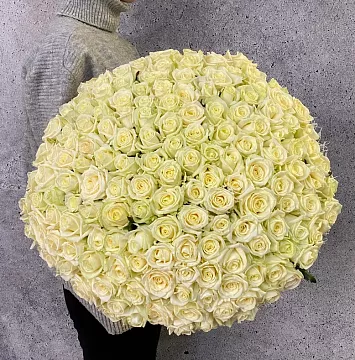 Букет из 201 белой розы 60 см