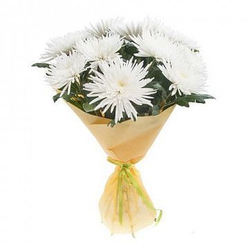 Букет 9 белых хризантем