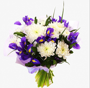 Букет Ирисы с хризантемой Букет Ирисы с хризантемой