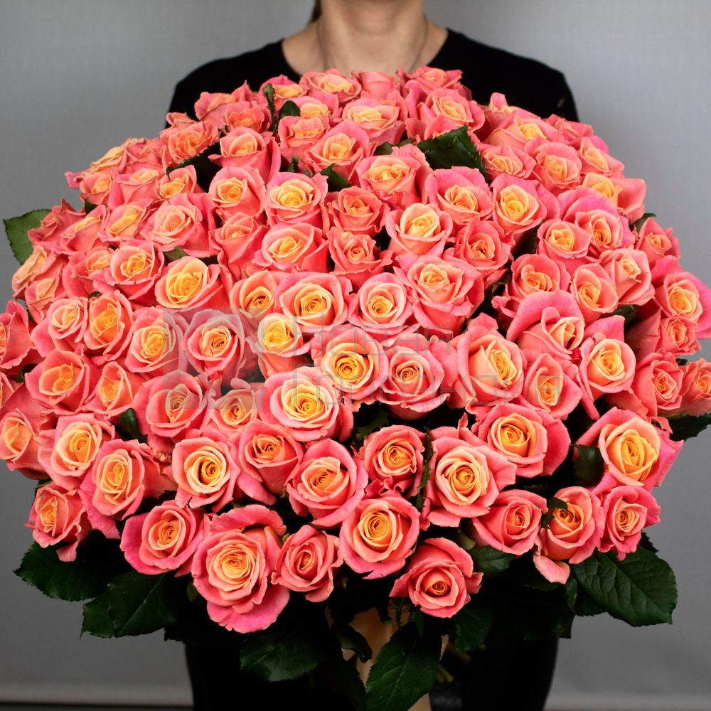 Букет 101 персиково-розовая роза 50 см