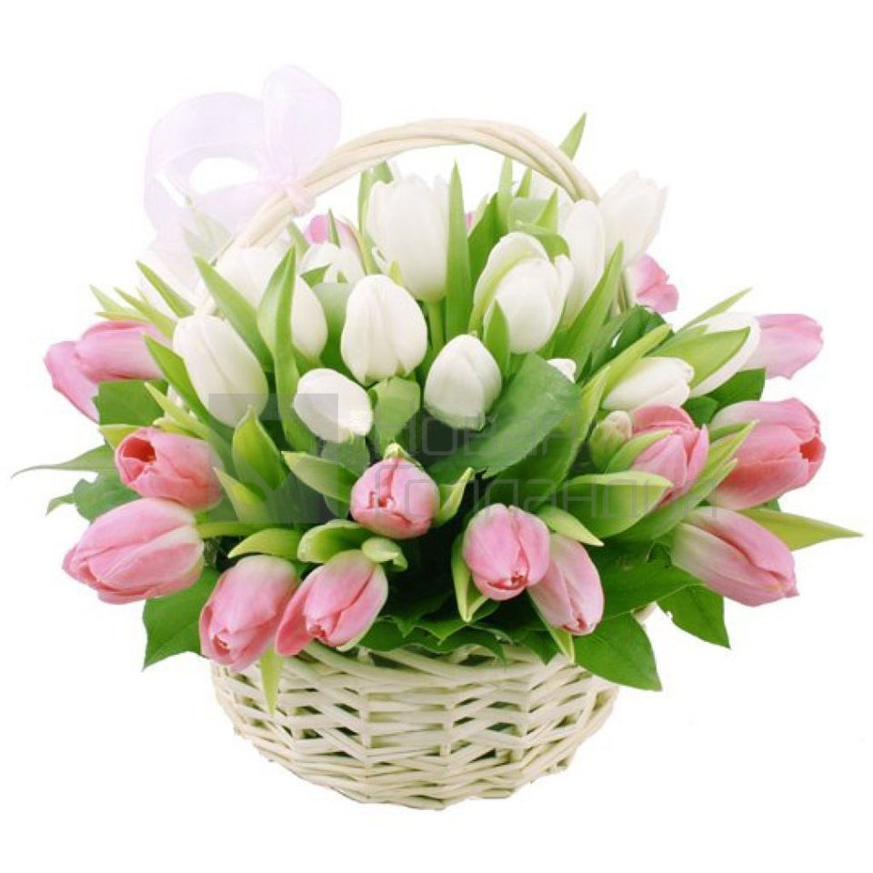 25 белых и розовых тюльпанов в корзине