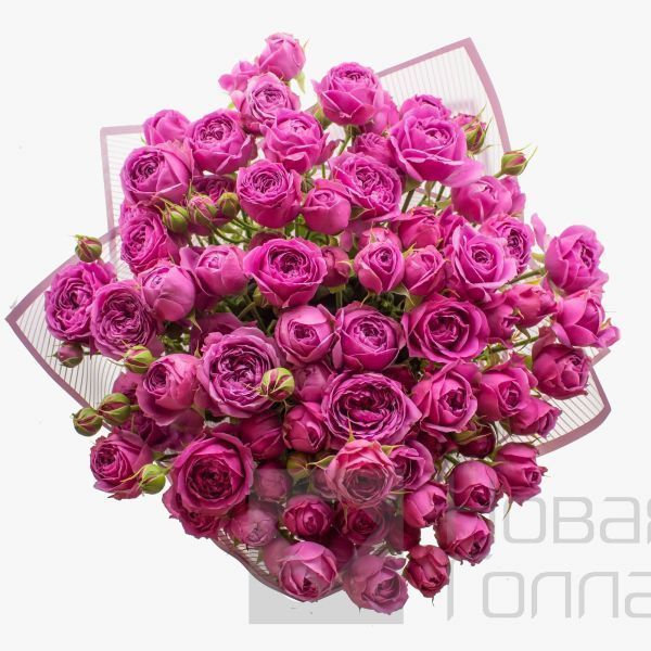 Букет 21 розовая кустовая пионовидная роза 40см.