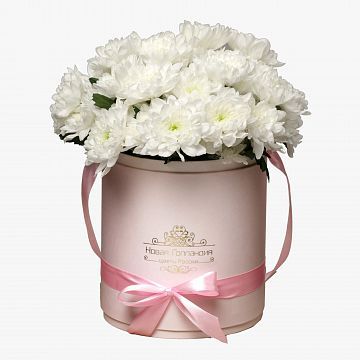 7 Белых хризантем в розовой шляпной коробке №78
