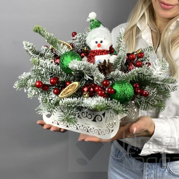 Санки Новогоднее ассорти