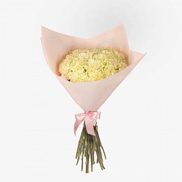 Букет из 19 гвоздик Букет из 19 гвоздик