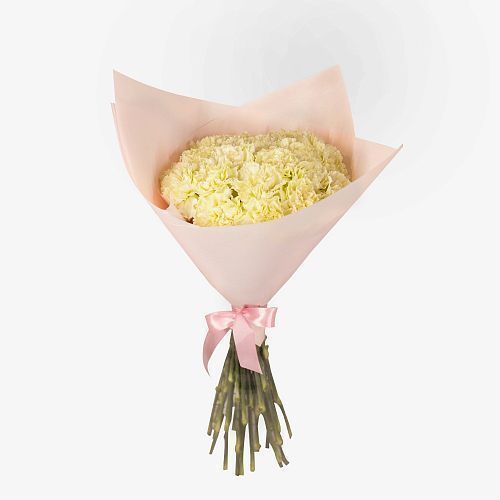 Букет из 19 гвоздик