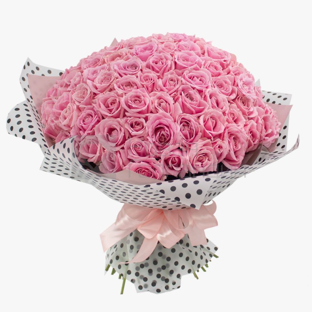 Букет 101 нежно-розовая роза 35-40 см